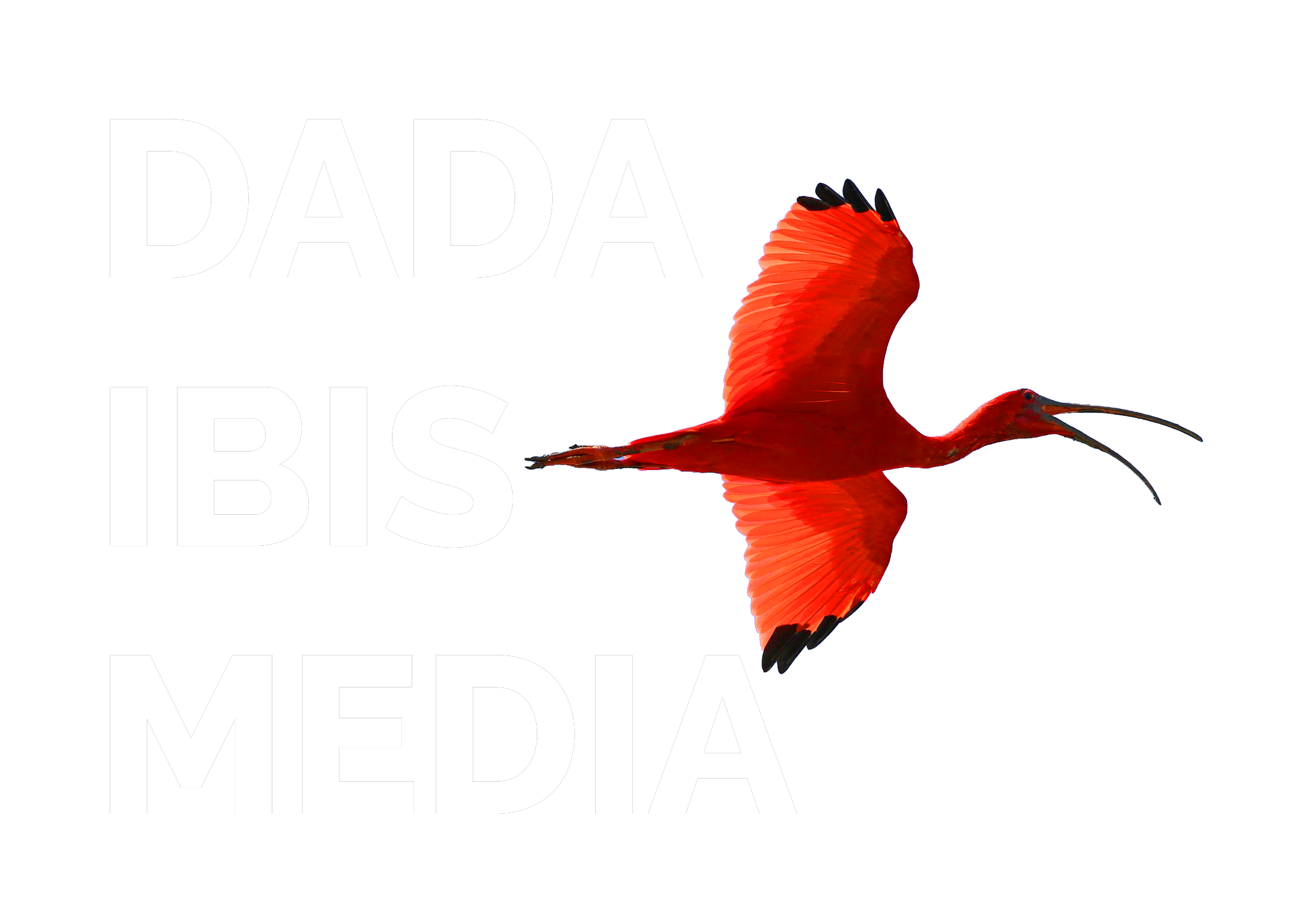 Dada Ibis Media - Bespoke Production Services